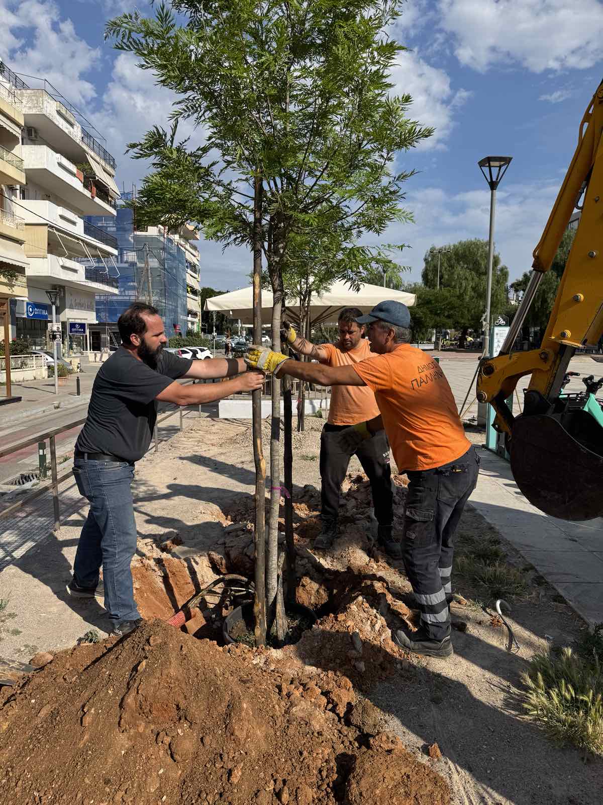 Δήμος Παλλήνης: Η αλήθεια για τις νέες φυτεύσεις και η πολιτική του εντυπωσιασμού